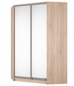 Угловой шкаф Аларти (YA-230х1400(602) (10) Вар. 5; двери D5+D5), с зеркалом в Анадыре