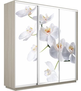 Шкаф 3-х дверный Е1 Экспресс 1800х600х2200, Орхидея белая/шимо светлый в Анадыре