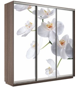 Шкаф 3-дверный Е1 Экспресс 2100х600х2200, Орхидея белая/шимо темный в Анадыре