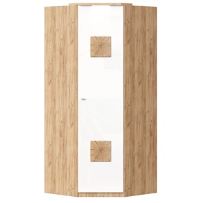 Шкаф угловой 45 с декоративной накладкой Фиджи, 659.248, белый в Анадыре