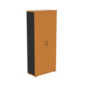Шкаф-гардероб Моно-Люкс G5S05 в Анадыре